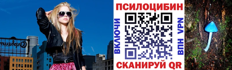 ссылка на мегу вход  Волосово  Галлюциногенные грибы MAGIC MUSHROOMS 